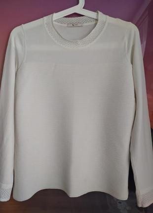 Кофта, лонгслів жіночий