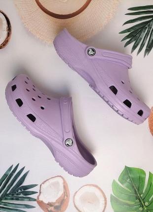 Жіночі крокси сабо crocs classic clog white бузкові