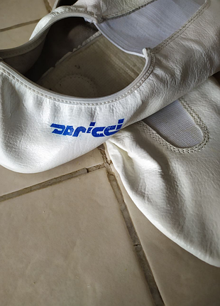 Чешки гимнастические