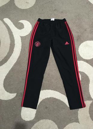 Спортивні штани адідас