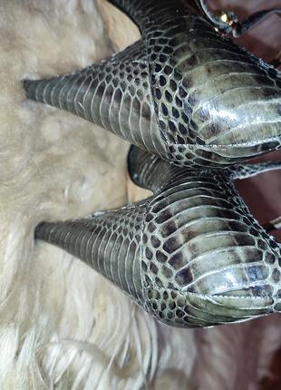 Туфли лододчки из кожи змеи3 фото