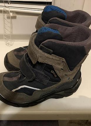 Зимние сапожки ecco