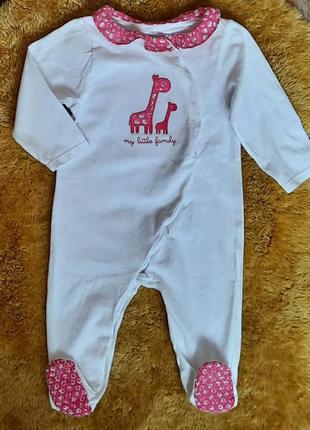 Котонові людина (сліп)