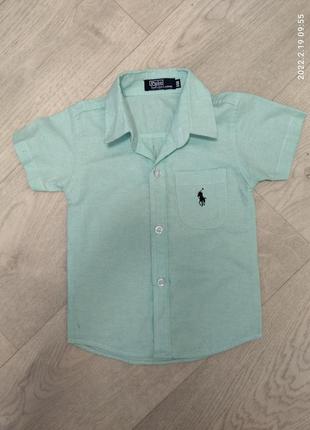 Рубашка мята polo by ralphlauren, 1-2 года