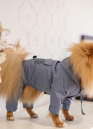 Дощовик для собак яскравий модний унісекс1 фото