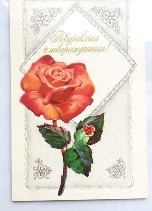 Открытка советская поздравляю с новорожденным, винтаж, чистая, 1977, роза