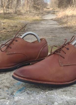 Шкіряні туфлі, броги clarks broyd walk1 фото