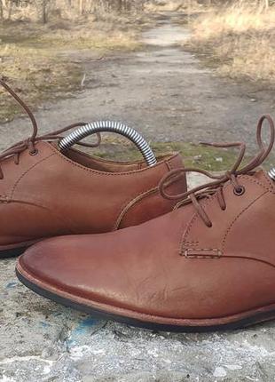 Шкіряні туфлі, броги clarks broyd walk4 фото