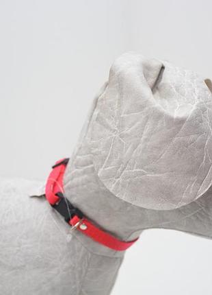 Ошейник для собак капроновый "лорик" застежка фастекс