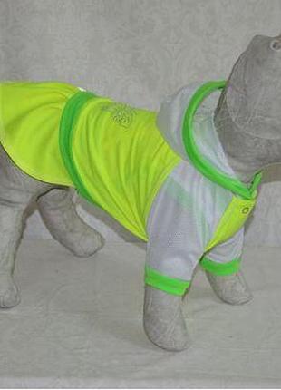 Костюм для собак річний "фітнес" дівчинка