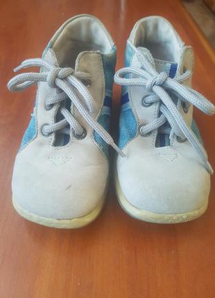 Демі черевики шкіра 2