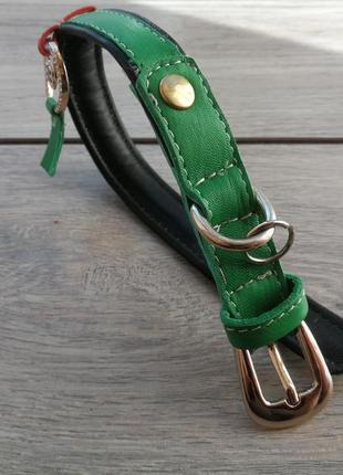 Кожаный ошейник для собачки зелёный
