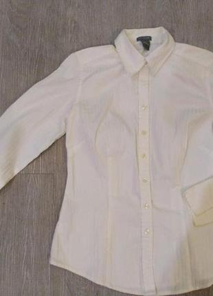 Блузка/рубашка в деловом стиле ann taylor. размер s.1 фото