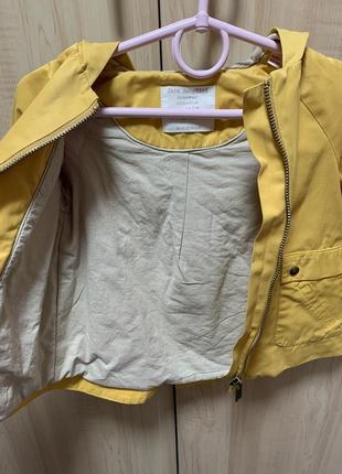 Пальто, плащ, ветровка zara 5
