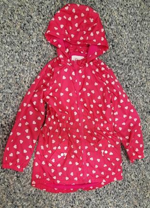 Красивое пальто  ветровка