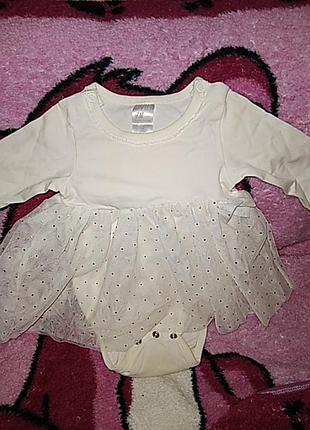 Бодік ошатний.