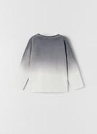 Реглан zara 2
