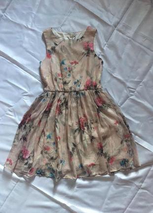 Сукня next 8 9 років 134 шифон бавовна