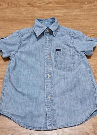 Сорочка з короткими рукавами polo ralph lauren рубашка детская короткими рукавами