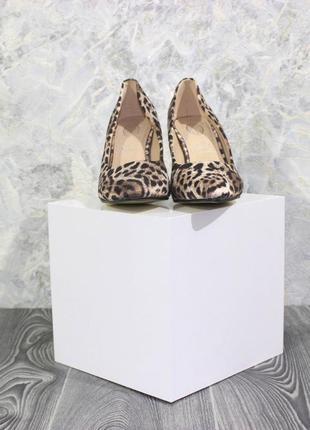 Леопардові туфлі на шпильці3 фото