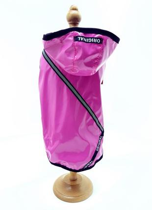 Жилет для собак бінго