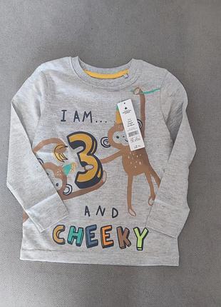 Ошатна кофта іменинника, лонгслив