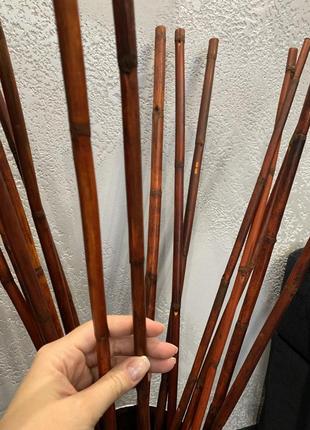 Декоративний бамбук / палички бамбука2 фото