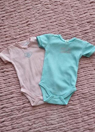 Бодики cool club