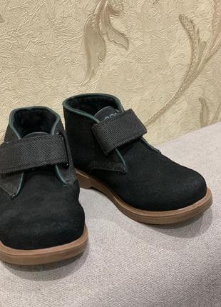 Черевики-туфлі 24 розмір lacoste оригінал
