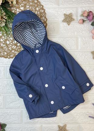 Вітровка дощовик