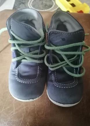 Ботинки kickers