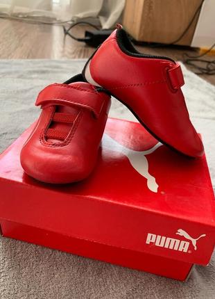 Кроссовки puma ferrari1 фото