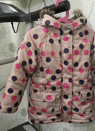 Стильная демисезонная курточка на флисе cool club 104p.p.2 фото