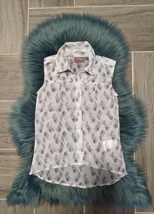 Стильна блуза з зайчиком для дівчинки 5-6 років