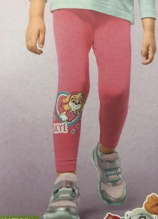 Бавовнянні літні лосіни на дівчинку скай