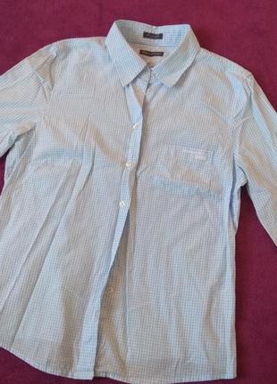 Рубашка Ballantyne Niebieska koszulka White polo