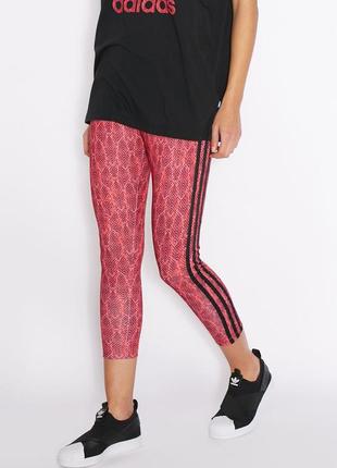 Яскраві лосіни adidas