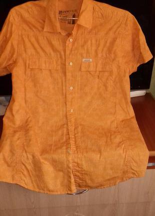 Фірмова рубашка