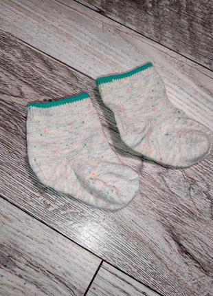 Шкарпетки носки носочки дитячий одяг детская одежда2 фото