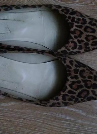 Туфлі іспанія