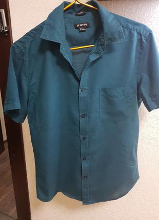 Річна чоловіча рабашка