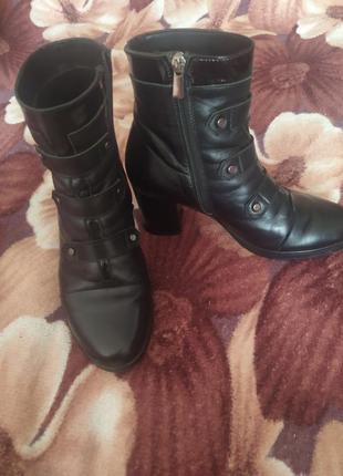 Чобітки весняні