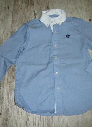 Рубашка некст на 5 лет в идеале