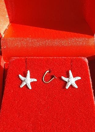 Серебрянные серьги-гвоздики