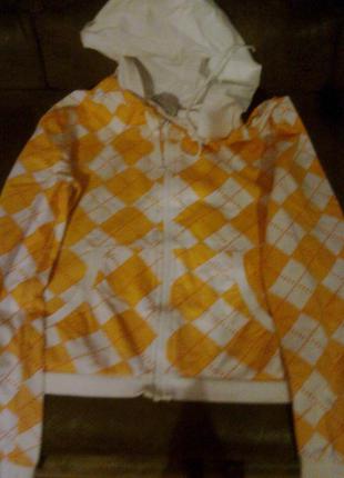 Яскрава пайта