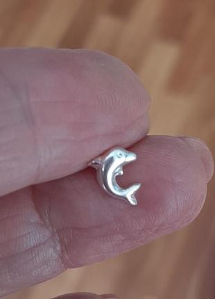 Серебрянные серьги-гвоздики дельфин6 фото