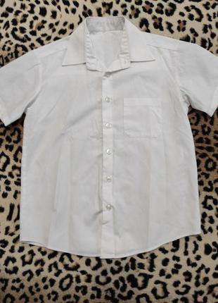 Сорочка сорочка біла з коротким рукавом