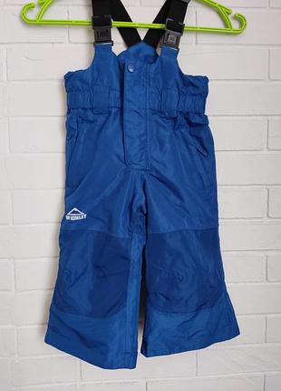 Лижні штани дощовик грязепруф комбінезон напівкомбінезон
