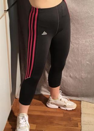 Лосіни adidas