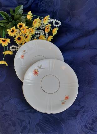 Mitterteich porcelain антикваріат пара тарілок блюдця німеччина bavaria кістяний фарфор з деколь клеймо відбиток набір лот1 фото